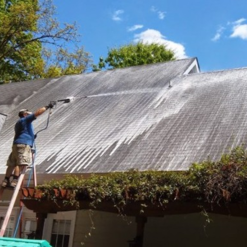 Roof Treatment with Exterior Washing Services Rotorua