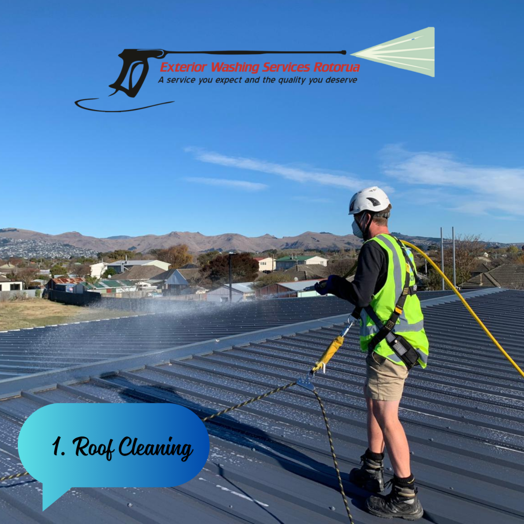 Exterior Washing Services, Roof Cleaning during Spring